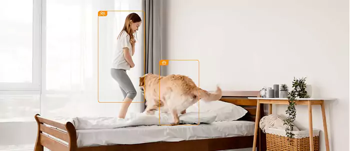 تشخیص دوربین مداربسته بی سیم آیمو REX