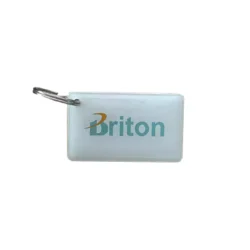 تگ اصلی برایتون